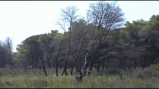 LIGJI I RI PER ZONAT E MBROJTURA,MINISTRI KOKA THOTE SE DO JENE TE PAPREKSHME LAJM mpg