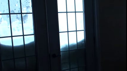 Cat Jumps Through Snow For Food