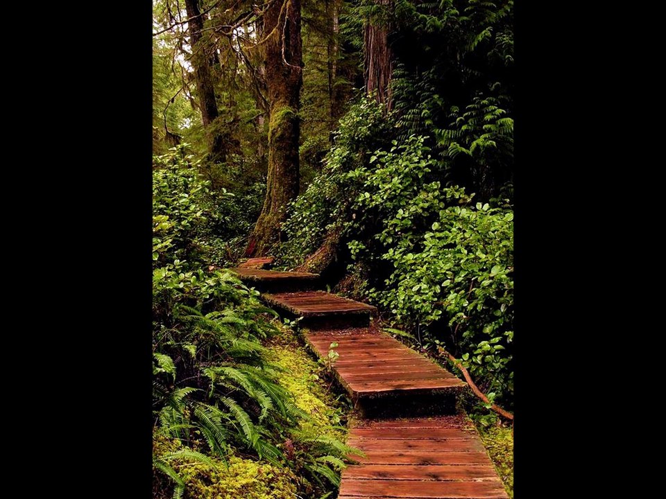 Traumpfade für die Seele - Meditation