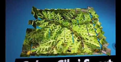 Fiorentina Vs Inter 2-1 All Goals Highlight Serie-A 15/02/2016