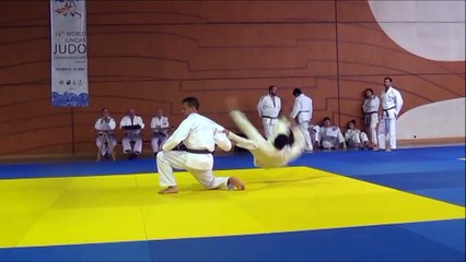 Examen nage no kata 1er dan- Florent et Antoine- 12 2015 Marseille