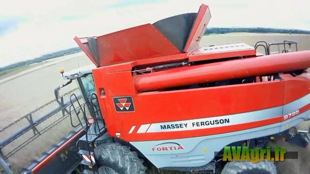 MASSEY Fortia 9795 à la moisson du Colza en 2012