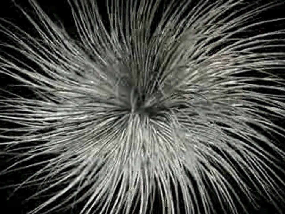animation 3d alien