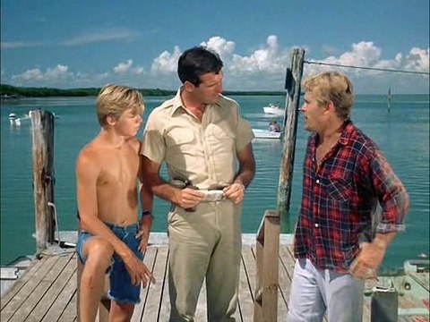 Flipper S01E16 Flippers Bank Account