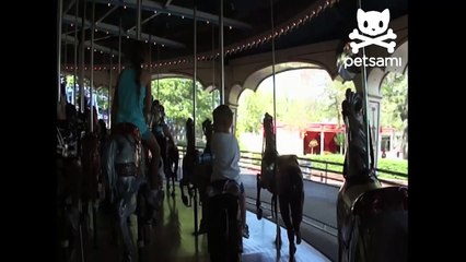 Squirrel rides the merry-go-round