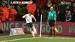 Romelu Lukaku Goal - AFC Bournemouth 0-2 Everton - 20.02.2016 HD