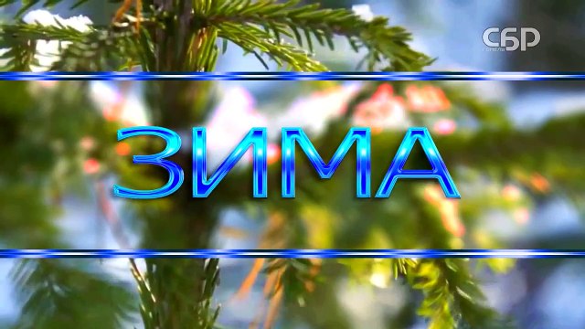 17 февраля в Беларуси объявлен оранжевый уровень опасности CБР