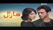 Maral Episode 20 on Urdu1 P2