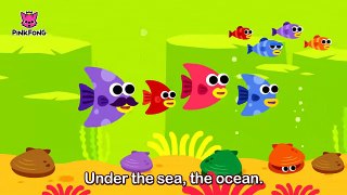 Under the Sea - Animal Songs - PINKFONG Songs for Children