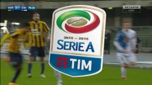 Nicolas Spolli Red Card - Hellas Verona 2-1 Chievo - 20.02.2016