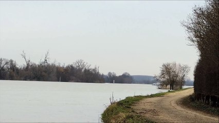 Le TENNESSEE à Saint Romains des Îles.