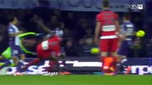 All Goals HD - Toulouse 1-1 GFC Ajaccio - 20-02-2016