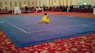 Oğuzhan KERENCİLER türkiye wushu tao şampiyonasından 1 bölüm 2016