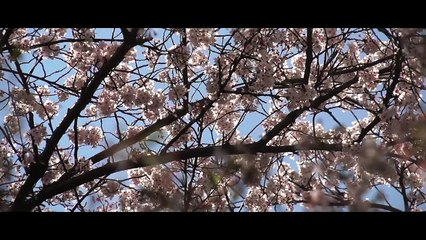 Andrea Bocelli, Ariana Grande - E Più Ti Penso