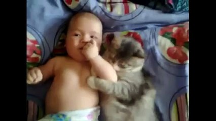 Cute cat loves baby - from funny and cute cats and babies collection