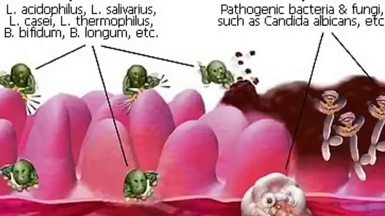 Perfect Biotics Reviews   Important News Reported   YouTube (News World)