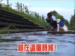 Un mono y un perrito intentando cruzar el rio