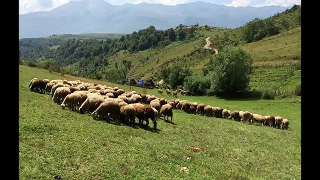 Naim Krasniqi dhe Salih Gashi Eja moj vashez (Official Video HD)