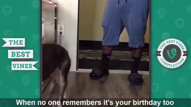 NEW The Best Vines of Jerry Purpdrank 2015 Jerry Purpdrank Vine Compilation All Vines 2015