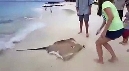 You can not imagine what that will do raza girl while food...Woow