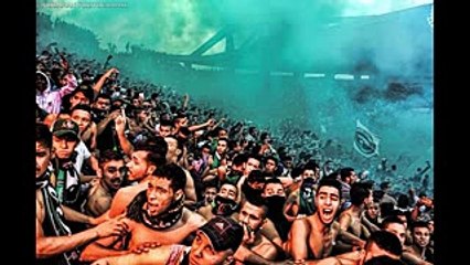 Best terrace Arabic TV testimony..افضل التراس عربي بشهادة الجميع