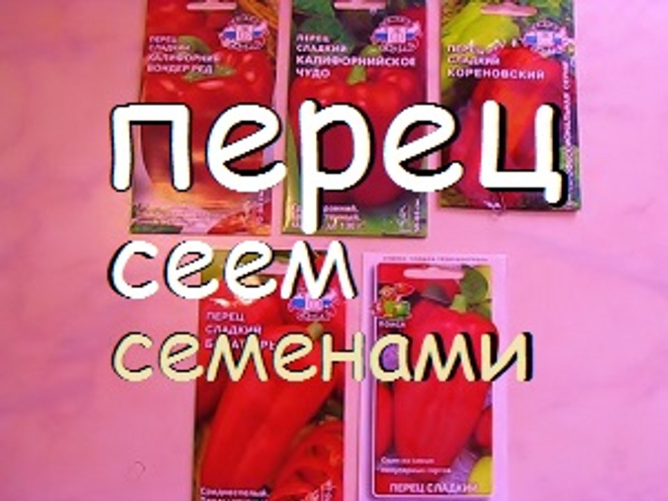 СЕЕМ ПЕРЕЦ / Посев семян перца на рассаду / ПЕРЕЦ / SOW PEPPERS / PEPPER