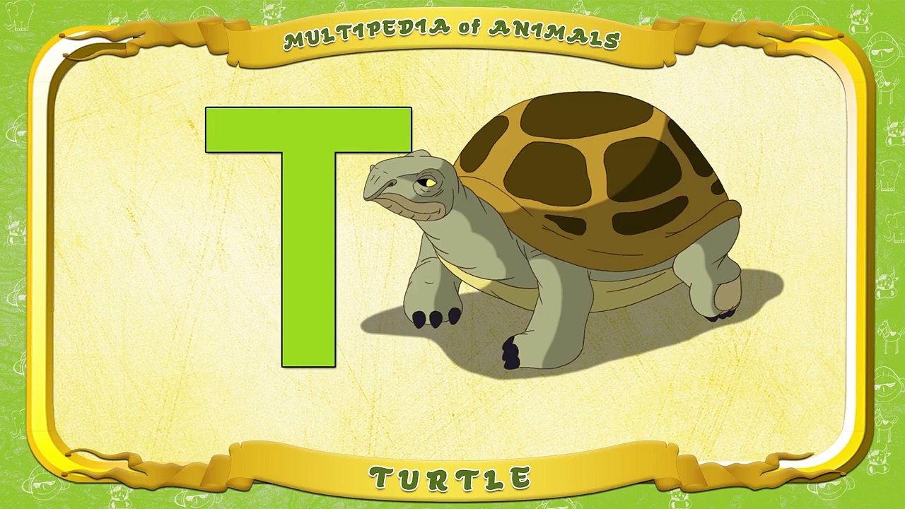 Multipedia of Animals. Letter T Turtle
