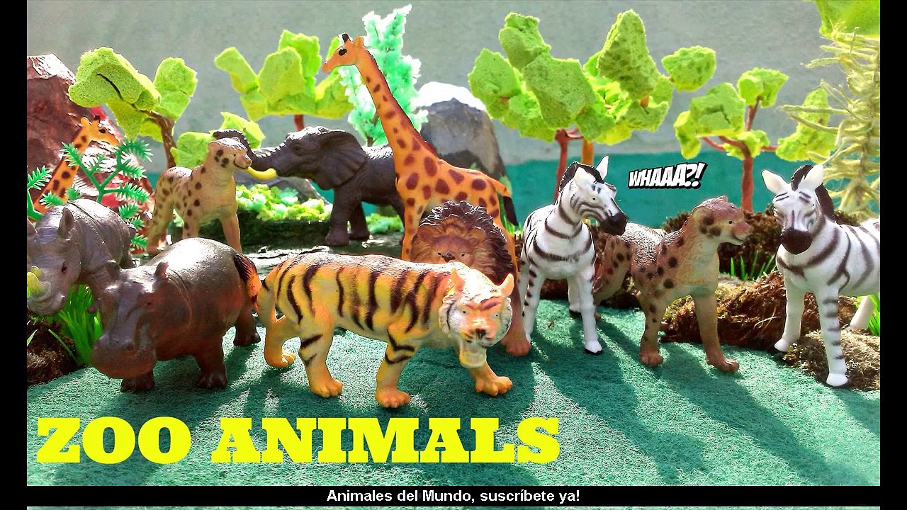 Animales, recopilación de los mejores