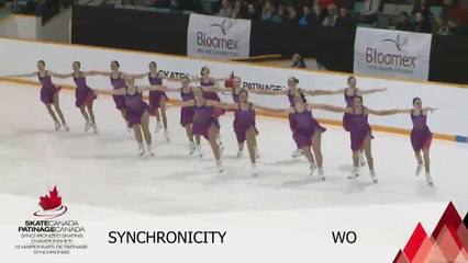 2016 SC SYNCHRO NATIONALS - NOVICE FREE PROGRAM 1 - GROUP 3