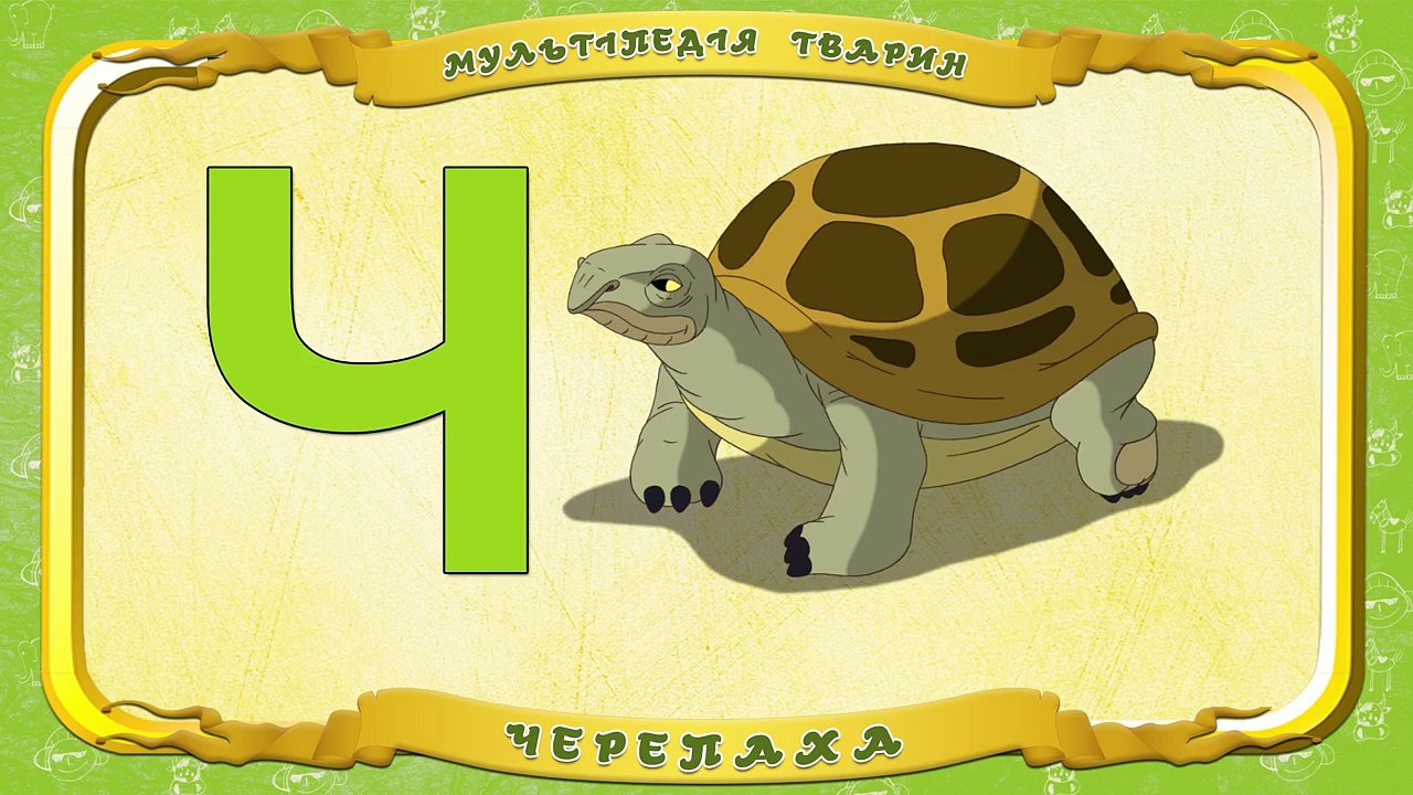 Мультіпедія тварин. Літера Ч Черепаха