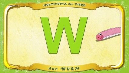 Multipedia der Tiere. Buchstabe W der Wurm