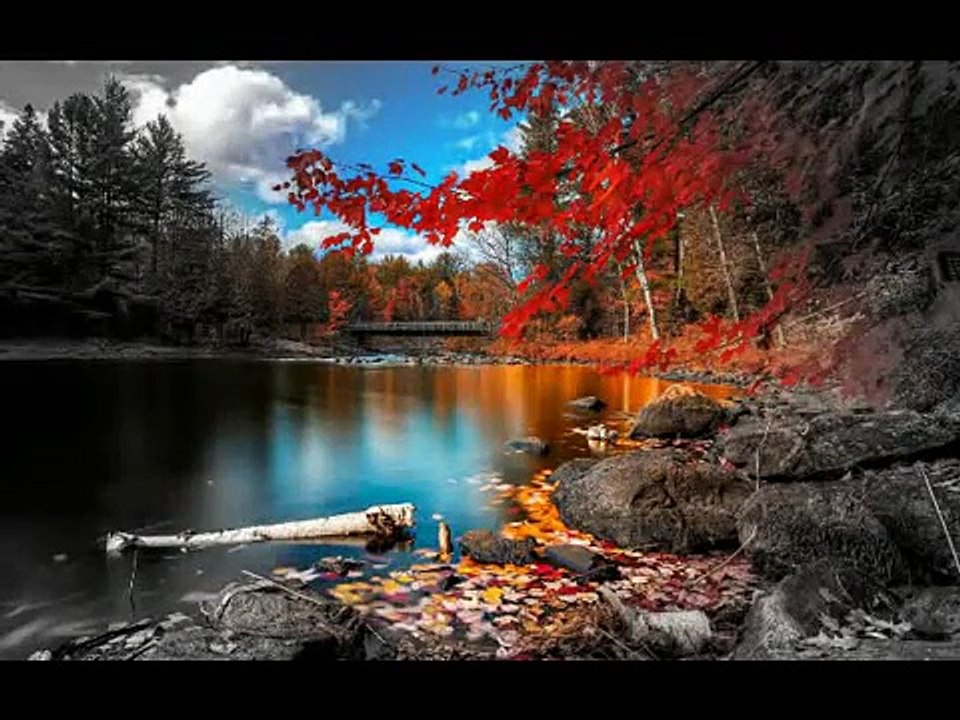 Islamic Songs Bangla Gazal 2016 Dekha Dao Rasulullah Tumi Bangla Gojol 2016 New