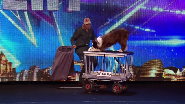-Catch Jules and Matisse the dog in action - Britain's Got Talent 2015