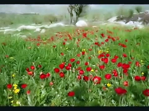 Ay Buluta Girmis Gece Yarisi ( Uzun Hava )