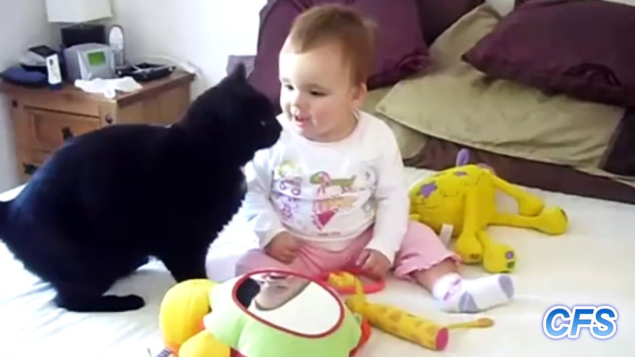 Cats Love Babies Compilation || CFS