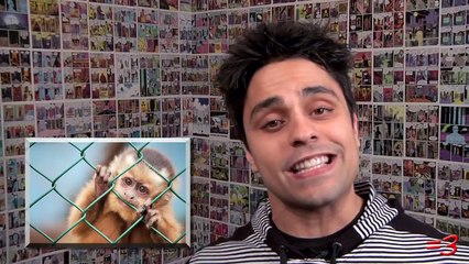 DUBSTEP CAT - Ray William Johnson Video