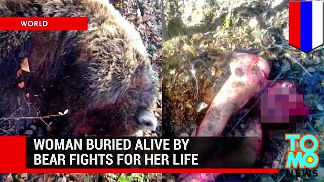 Worst animal attacks! Bear kills woman, crocodile kills swimmer, pit bull attacks & more - TomoNews