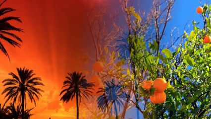 Мультфильм “Я люблю тебя“ Рината Тимеркаева смотреть