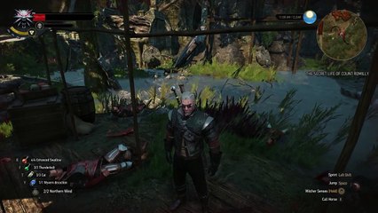 SARRIM Powerful Silver Sword Location [Level 35] The Witcher 3: Hearts of Stone