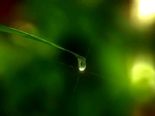 las vegas wedding chapels