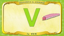 Multipédia des animaux. La lettre V le Ver