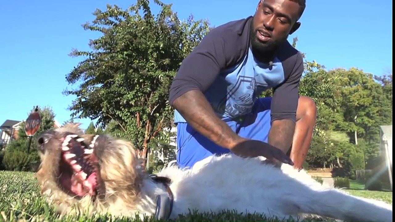 Man s Best Friend  Delanie Walker & Lord Cushman   NFL Fan Pass