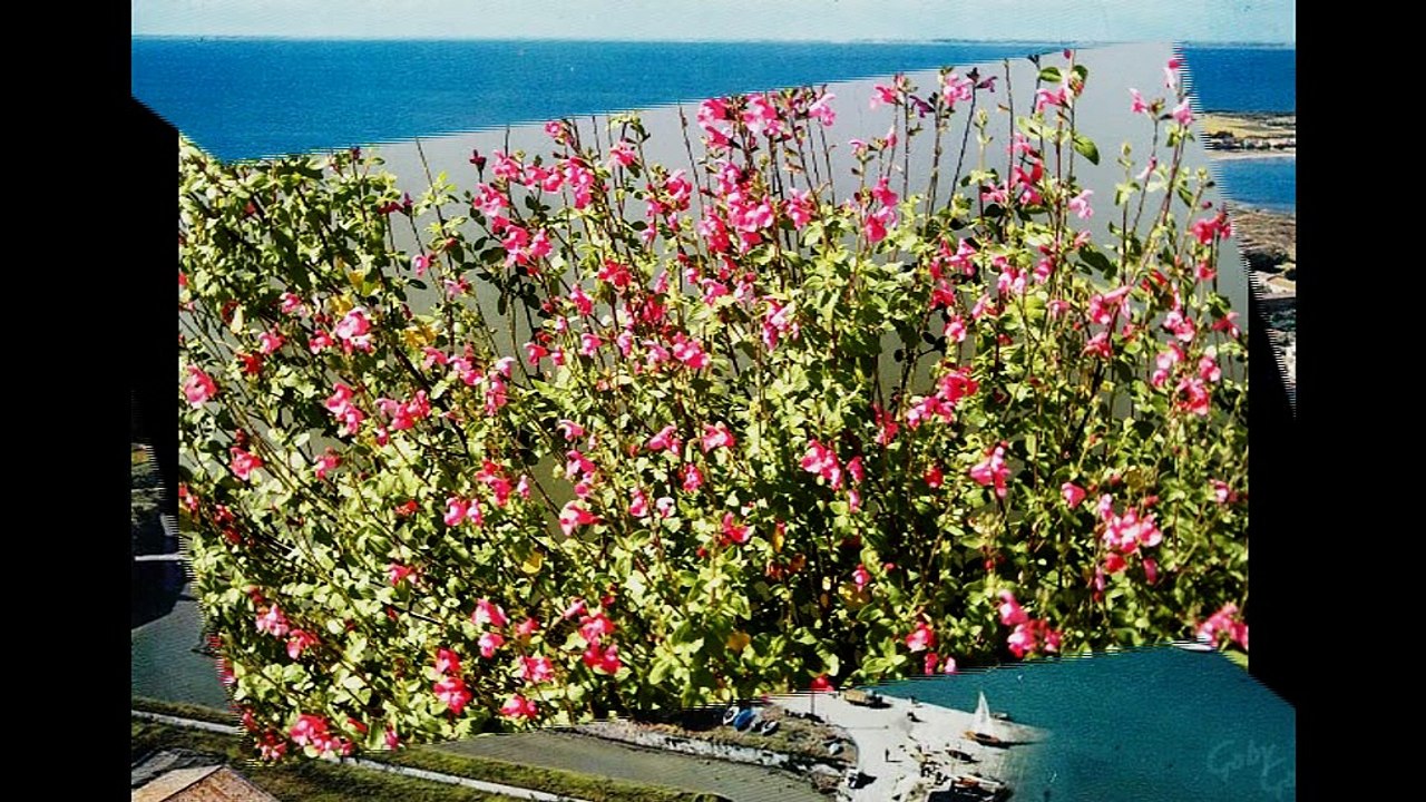 La Rochelle d'hier et d' aujourd'hui
