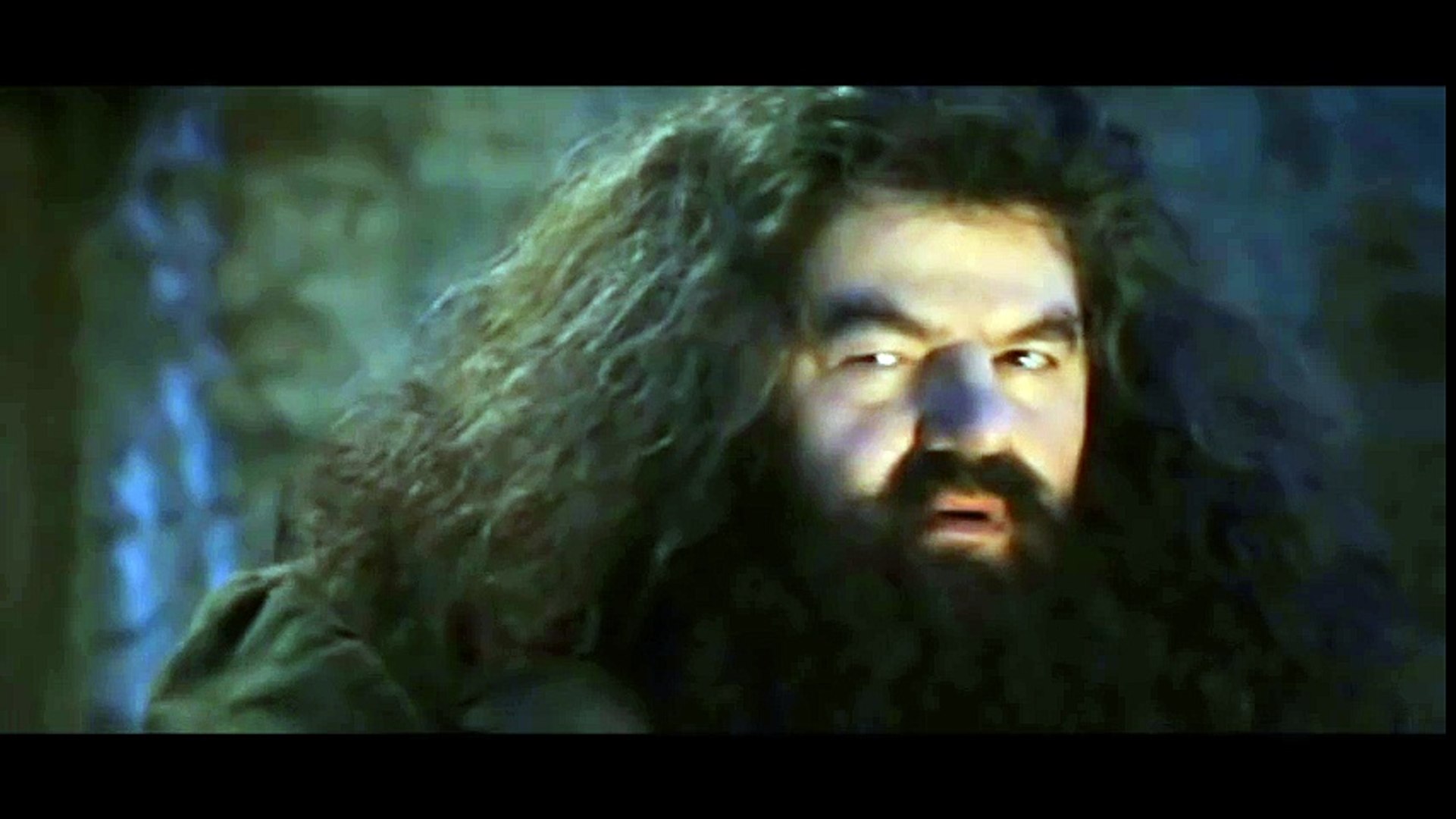 ⁣Harry Potter Deleted Scene - Faggot Harry