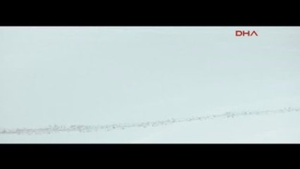 Kar Üzerine Çizdiği Devasa Motifler Göreni Büyülüyor