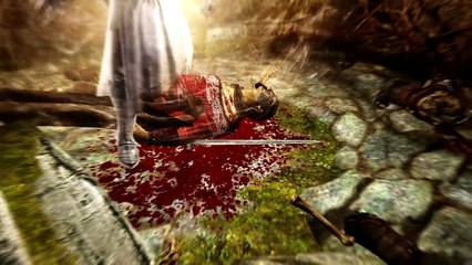 Skyrim Builds - The Paladin