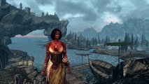 Skyrim Builds - The Pirate