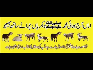 Ammaa Aaj BHai Muhammad S.A.w.w ko Bakrya charany saath bhejoo