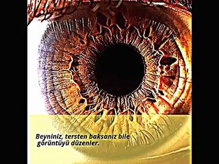 gözler mi- yaratılış harikası,,, - hd