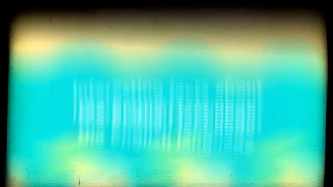 Interesting facts about the English language (Funny Videos 720p)